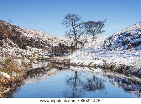 Yorkshire Moorland Winter Landscape
