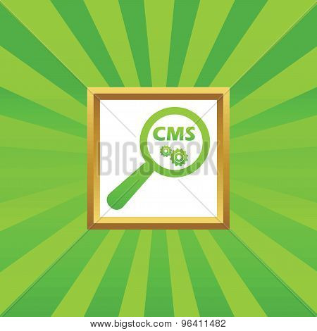 CMS search picture icon
