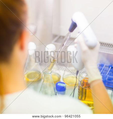 Young scientist pipetting solution.