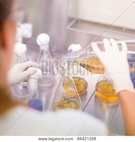 Young scientist pipetting solution.