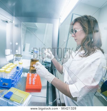 Life scientist researching in the laboratory.