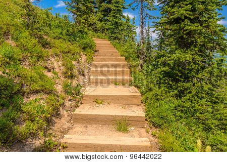 A stairs at trail in Blackwall Peak trail at Manning Park, British Columbia, Canada.