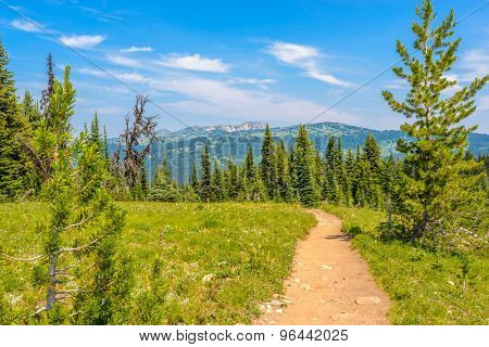 Beautiful Mountain Trail. Blackwall Peak Trail at Manning Park in British Columbia. Canada.