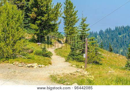 Beautiful Mountain Trail. Blackwall Peak Trail at Manning Park in British Columbia. Canada.