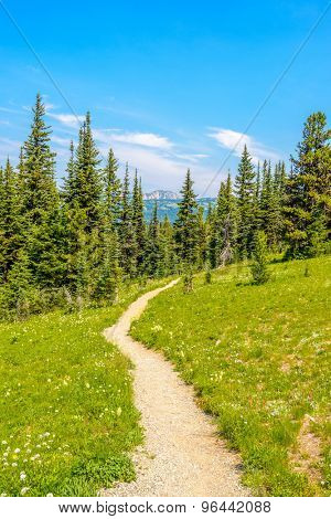 Beautiful Mountain Trail. Blackwall Peak Trail at Manning Park in British Columbia. Canada.