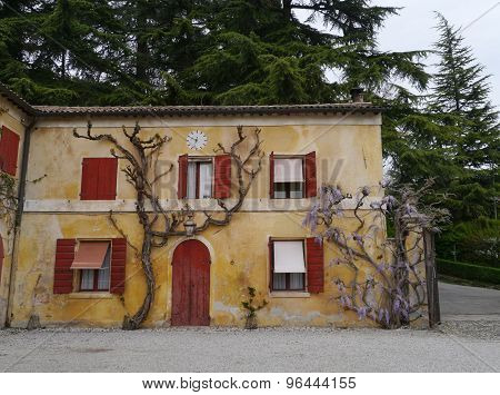 The yard of the Maser villa