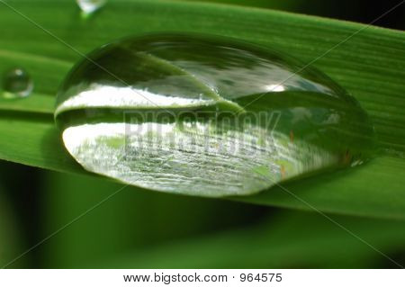Rain Drop