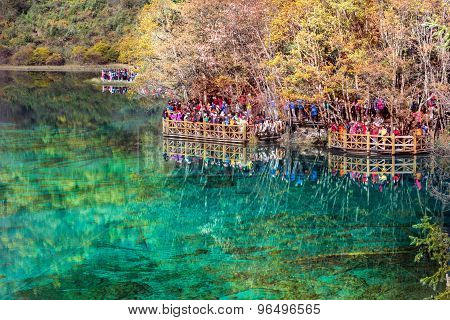 Five Flower Lake Is Lake In Jiuzhaigou