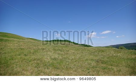 Colline
