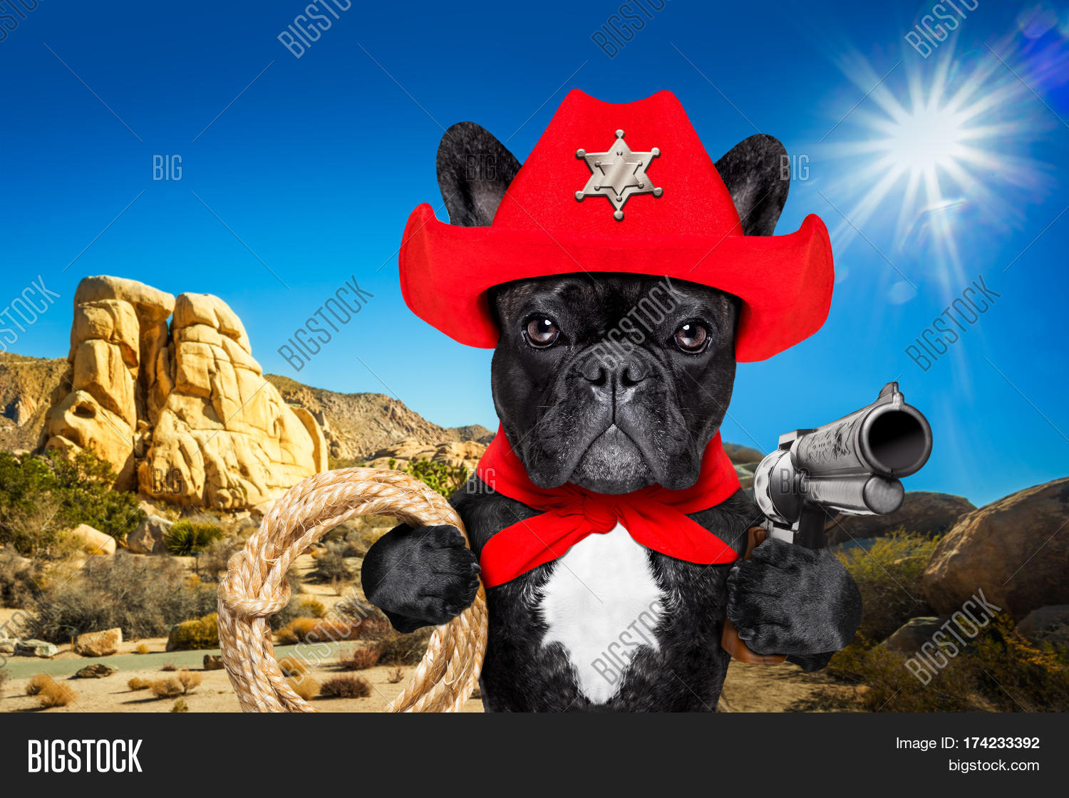 Собака шериф. Смешная одежда для собак. 23 февраля собака. Собака шериф. Полиция и животные.