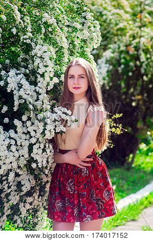 Beautiful Model Range Bush Of White Flowers