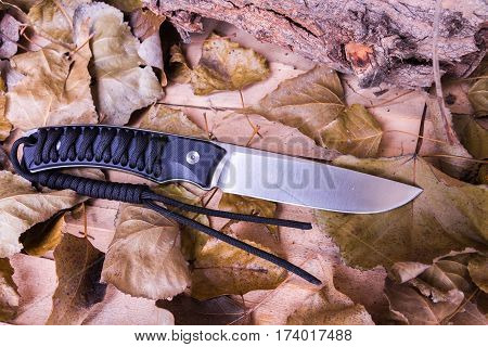 Hunter Knife On Fall Foliage.