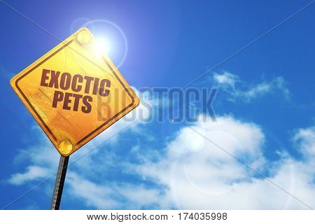 exoctic pets, 3D rendering, traffic sign