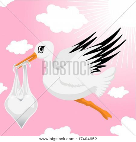 stork with baby girl