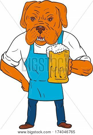 Illustration of a Dogue de Bordeaux Bordeaux Mastiff French Mastiff or Bordeaux dog a large French Mastiff breed wearing apron holding beer mug with one hand on hip viewed from front set on isolated white 