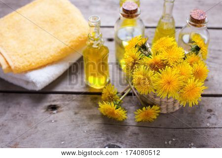 Fresh yellow flowers tussilago in mortar on wooden background. Wellness setting. Selective focus.