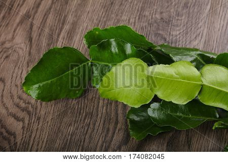 Kafir Lime Leaves