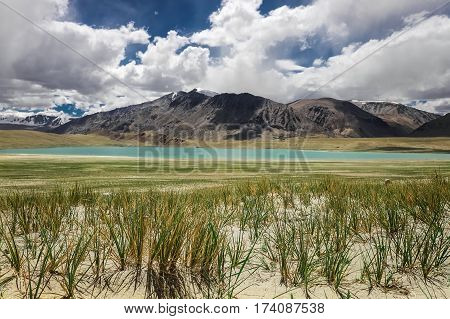 Kyagar Tso Lake in Ladakh region North India