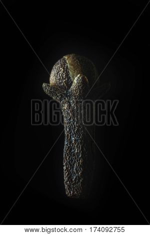dry clove on isolated black background composition