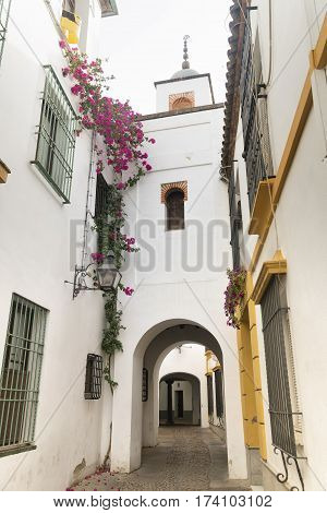 Cordoba (Andalucia Spain): old typical street in the Juderia