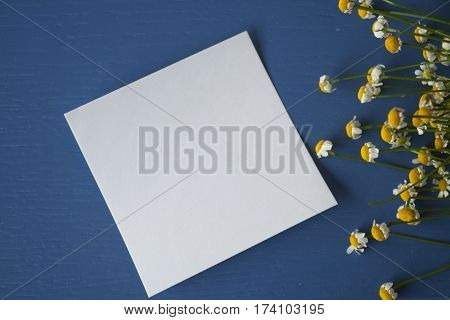 Camomile with a sticker note on a painted blue wooden background