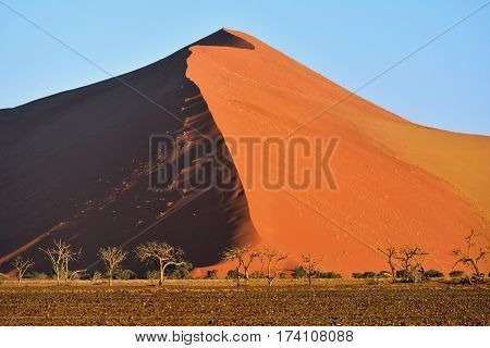 Sossusvlei, Namib Naukluft National Park, Namibia