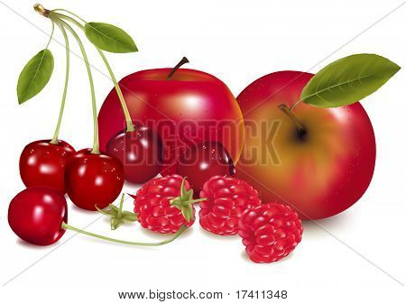 Illustrazione vettoriale fotorealistica. Gruppo variopinto di frutta fresca.