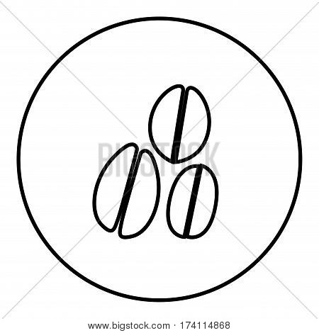 monochrome contour circular frame with coffee beans vector illustration