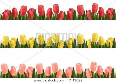 Træ blomst design grænser isoleret på hvid. Vektor.