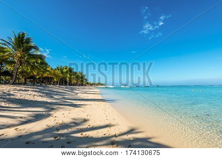 Le Morne Mauritius - December 11 2015: Amazing white beaches of Mauritius island. Tropical vacation in Le Morne Beach Mauritius. The shadow of the palm trees in the foreground.
