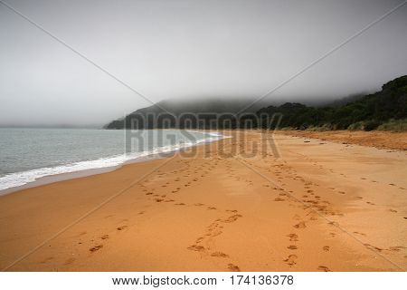 Foggy Beach