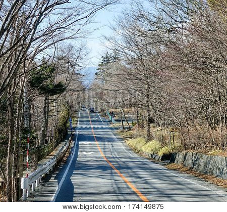 Mountain Road In Nikko, Japan