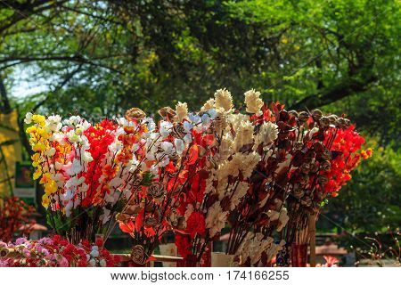 Beautiful Flower in park and garden in New Delhi, India
