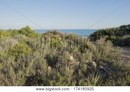The sierra de irta in alcocebre Castellon