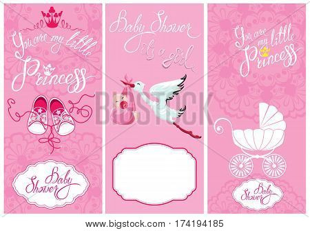 Baby girl Shower Set. Party Decoration Scrapbook invitation card. Calligraphic text You are my little princess frames. Vintage elements for invitation card flyer etc.
