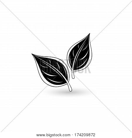 Isolated black leaf. Element for design. Vector illustration.