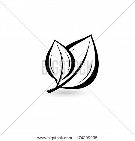 Isolated black leaf. Element for design. Vector illustration.