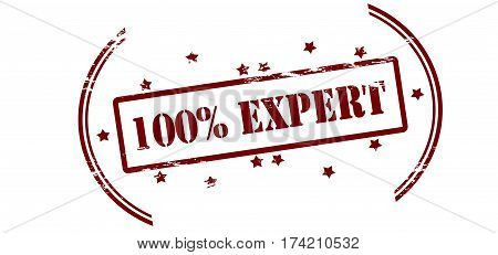 Stamp with text one hundred percent expert inside vector illustration