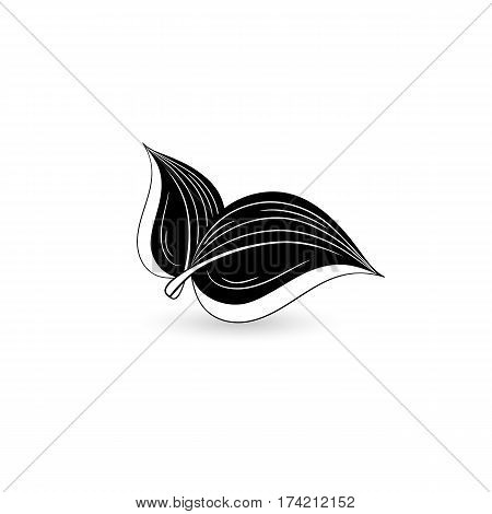Isolated black leaf. Element for design. Vector illustration.