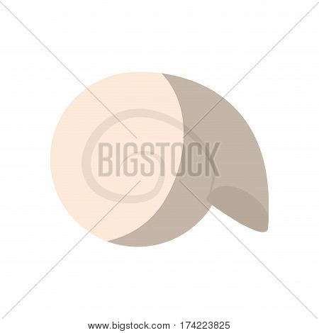 molusk icon over white background. colorful design. vector illustration