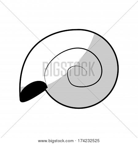 molusk icon over white backgronund. vector illustration