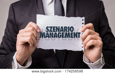 Scenario Management (in German)