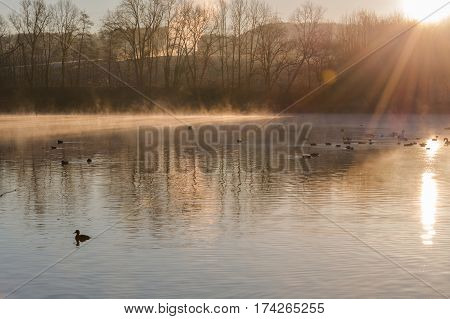 Morning fog and sun reflection on a small lake Abtskuecher pond called in Heiligenhaus Germany.