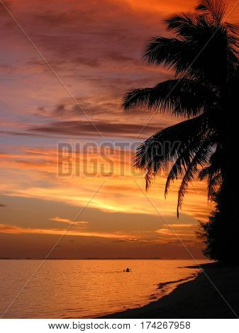 sunset scene with palm trees and canoeist at Rarotonga, Cook Islands