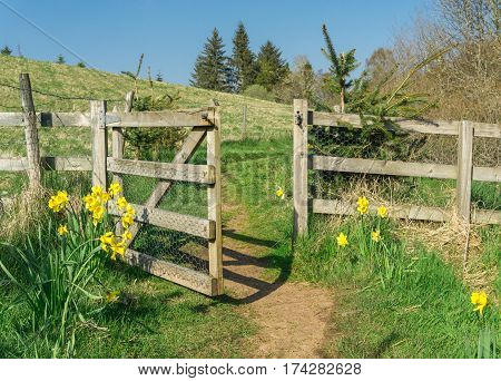 Hiking trail through gate door doorway and flowers. Road to success and new ideas. New life, new hope, breakout, break through, breakthroughs