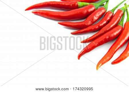 The red chilli on the white background