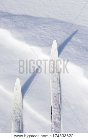 white cross country ski tips in snow