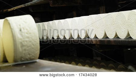 ฝรั่งเศส roquefort เนยแข็ง