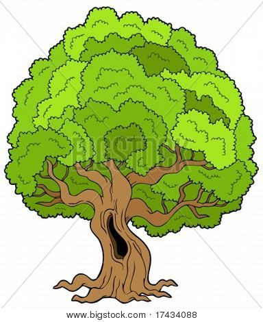 ต้นไม้ใหญ่ใบเขียวชะอุ่ม