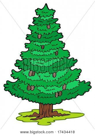 Cartoon coniferous tree - vector illustration.